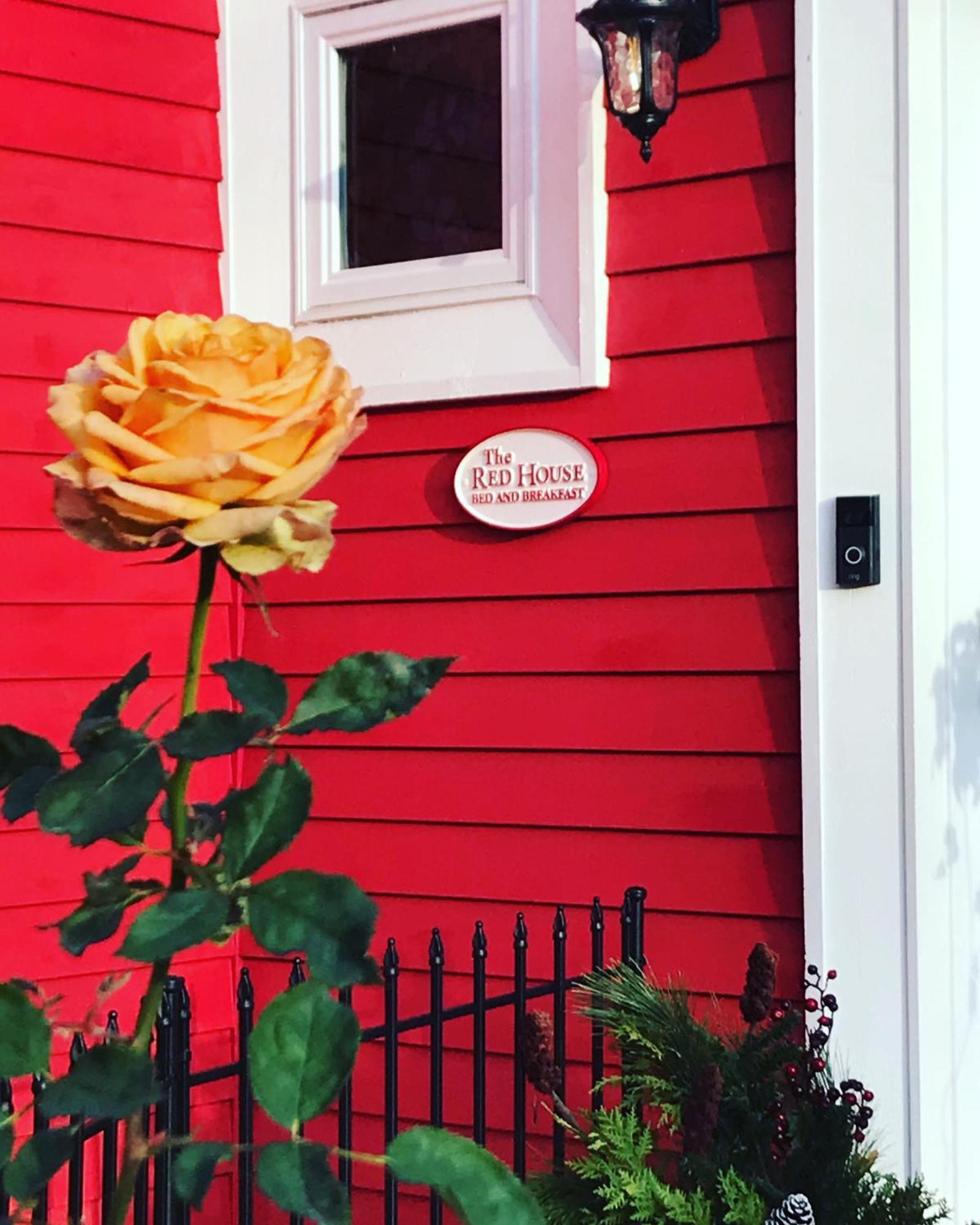 The Red House Fredericton Exterior foto